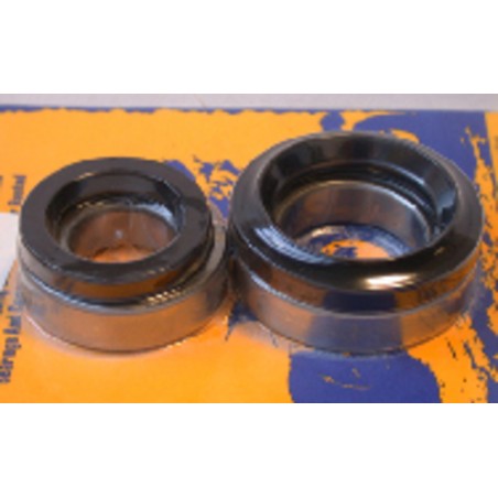 Kit de rodamientos y retenes de rueda trasera PIVOT WORKS