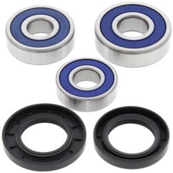 Kit rodamientos de rueda All Balls 25-1603