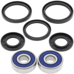 Kit rodamientos de rueda All Balls 25-1311