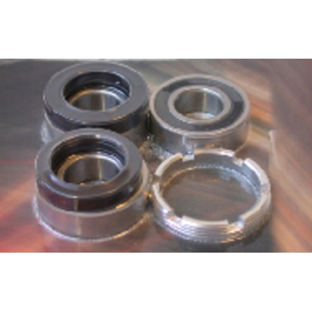 Kit de rodamientos y retenes de rueda trasera PIVOT WORKS
