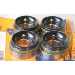 Kit de rodamientos y retenes de rueda delantera PIVOT WORKS