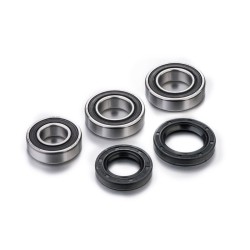 Kit de rodamientos de rueda FACTORY LINKS