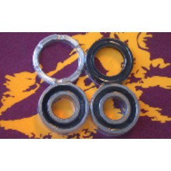 Kit de rodamientos y retenes de rueda trasera PIVOT WORKS