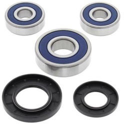 Kit rodamientos de rueda All Balls 25-1344