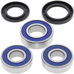 Kit rodamientos de rueda All Balls 25-1386