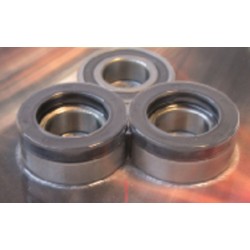 Kit de rodamientos y retenes de rueda trasera PIVOT WORKS