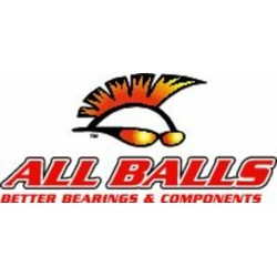 Kit de rodamientos diferencial All Balls 25-2066-5