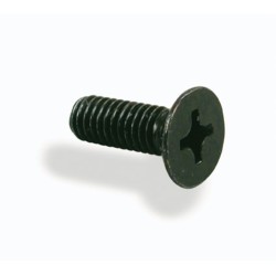 Tornillo para tapa bomba NISSIN M4x12 - 2 unidades
