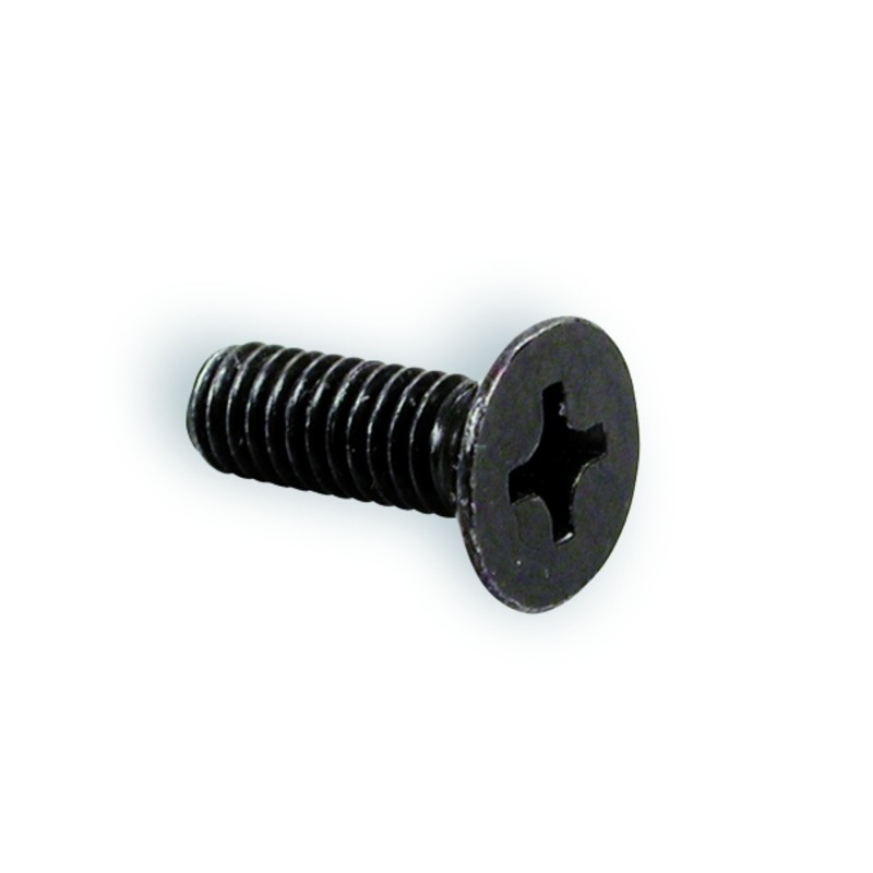 Tornillo para tapa bomba NISSIN M4x12 - 2 unidades
