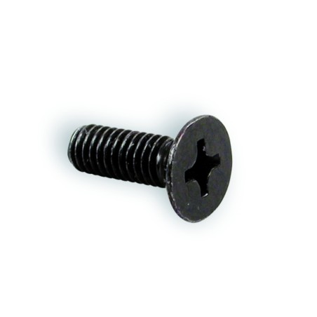 Tornillo para tapa bomba NISSIN M4x12 - 2 unidades