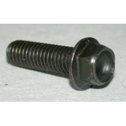 Tornillo de maneta Domino