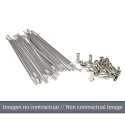 Juego de radios plata para llanta 17 para buje OEM 25 5404