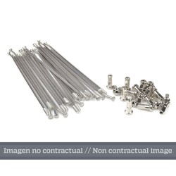 Juego de radios plata para llanta 21 para buje OEM 25 1306