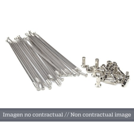 Juego de radios plata para llanta 17 para buje OEM 25 1406