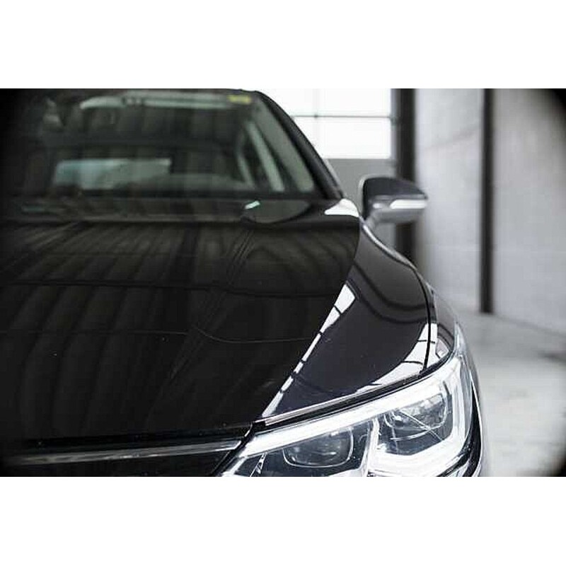 Limpiador quita insectos LIQUI MOLY - Spray 500ml