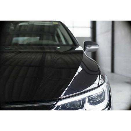 Limpiador quita insectos LIQUI MOLY - Spray 500ml