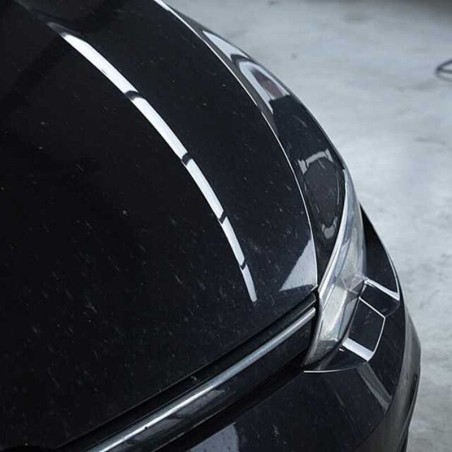 Limpiador quita insectos LIQUI MOLY - Spray 500ml