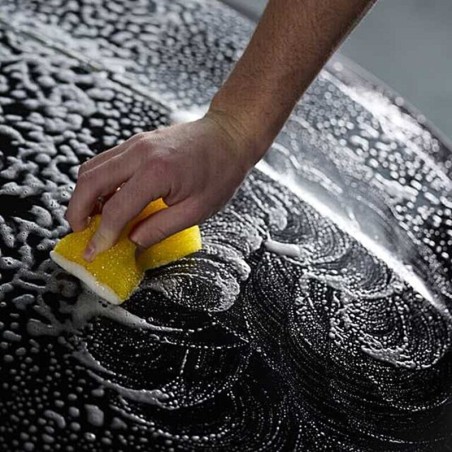 Limpiador quita insectos LIQUI MOLY - Spray 500ml