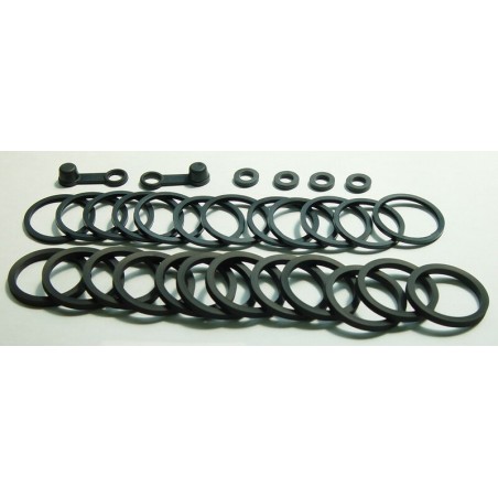 Kit Reparación pinza de freno ZX6R '98-99 BCF-415