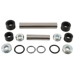 ALL BALLS Independant Rear Suspension Linkage Kit