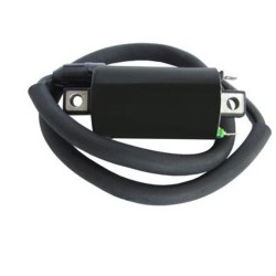 Bobina de encendido TECNIUM 4062