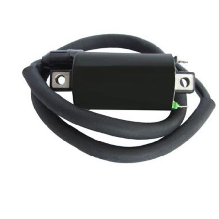 Bobina de encendido TECNIUM 4062