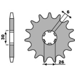 Piñón PBR acero estándar 568 - 530