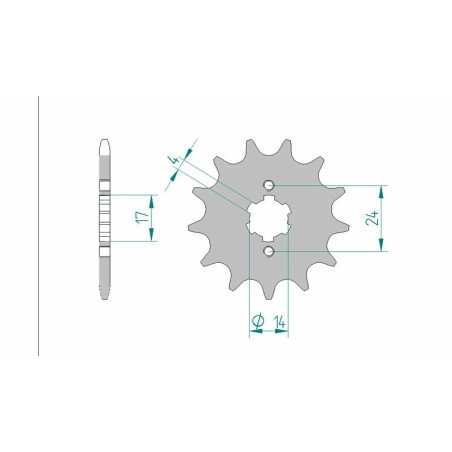 Piñón AFAM acero estándar 49102 - Paso 420