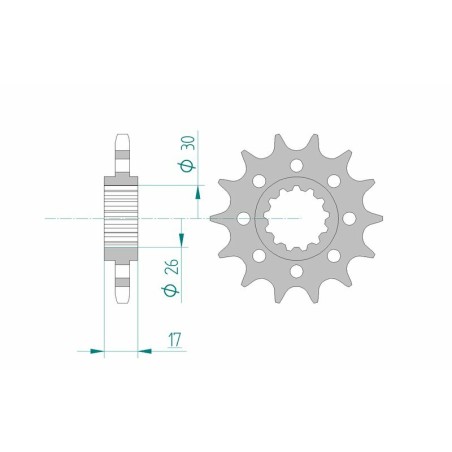Piñón AFAM acero estándar 20615 - Paso 525