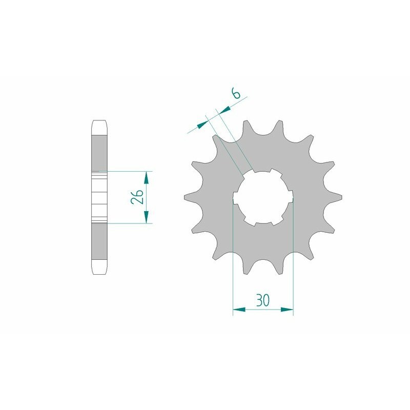 Piñón AFAM acero estándar 21600 - Paso 530