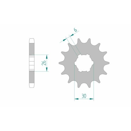 Piñón AFAM acero estándar 21600 - Paso 530
