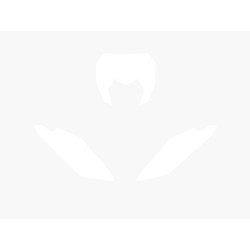 BLACKBIRD Plate Stickers White Fantic XE