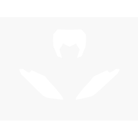 BLACKBIRD Plate Stickers White Fantic XE